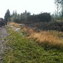 Waldbrand B500