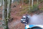 Fahrzeugbrand