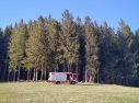 Waldbrand Schnabelstal 07.04.2020
